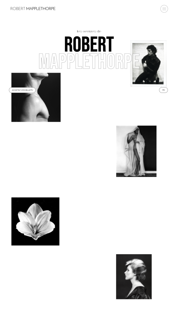 Gallery item